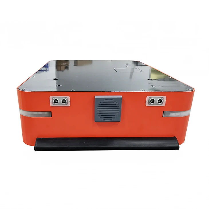 Robotic Guided Transporter